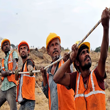 Labour supplier contractor