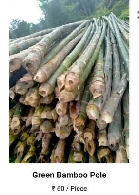 Bamboo Suppliers in Assam
